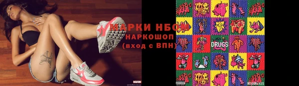 СК Алексин