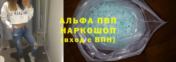 СК Алексин