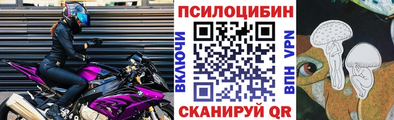 мега ссылки  Енисейск  Псилоцибиновые грибы Psilocybe 
